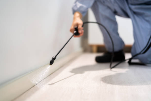 Certified termite inspector examining foundation in Castle Hills