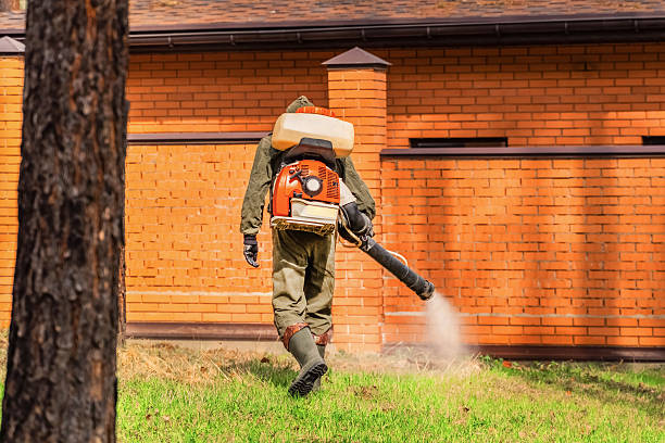 Bed Bug Clearance Verification and Documentation in Castle Hills